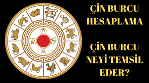 Çin Burcu Hesaplama: Çin Burcu Neyi Temsil Eder?